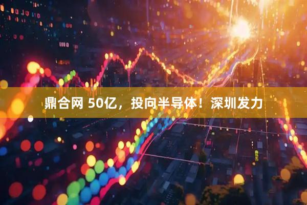 鼎合网 50亿，投向半导体！深圳发力