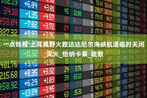 一点钱程 土耳其野火致达达尼尔海峡航道临时关闭_灭火_恰纳卡莱_疏散