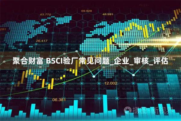 聚合财富 BSCI验厂常见问题_企业_审核_评估