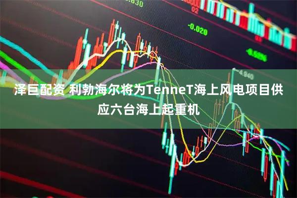 泽巨配资 利勃海尔将为TenneT海上风电项目供应六台海上起重机