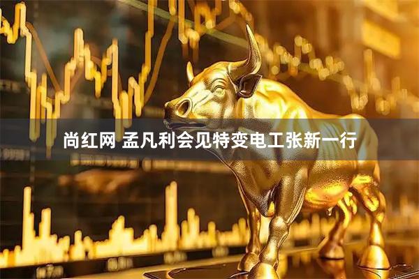 尚红网 孟凡利会见特变电工张新一行
